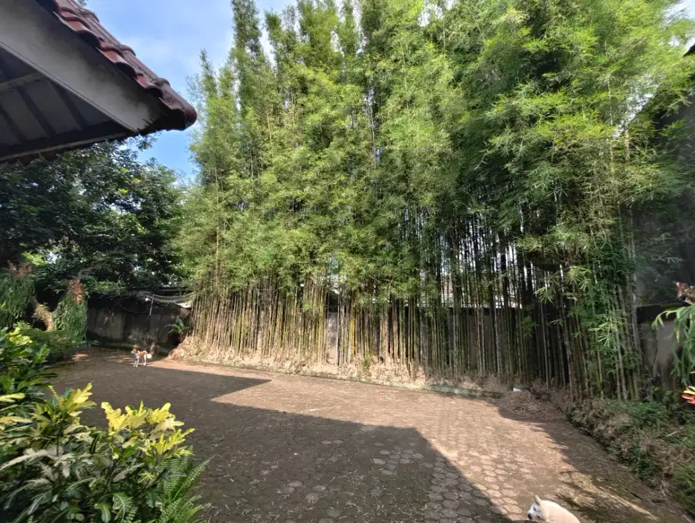 Rumah dan Tanah di Pamulang
