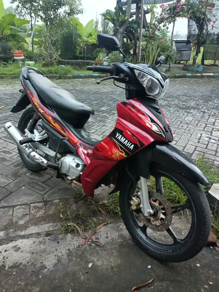 Jupiter Z 2008 burung hantu