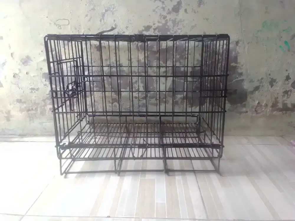 Kandang kucing bekas
