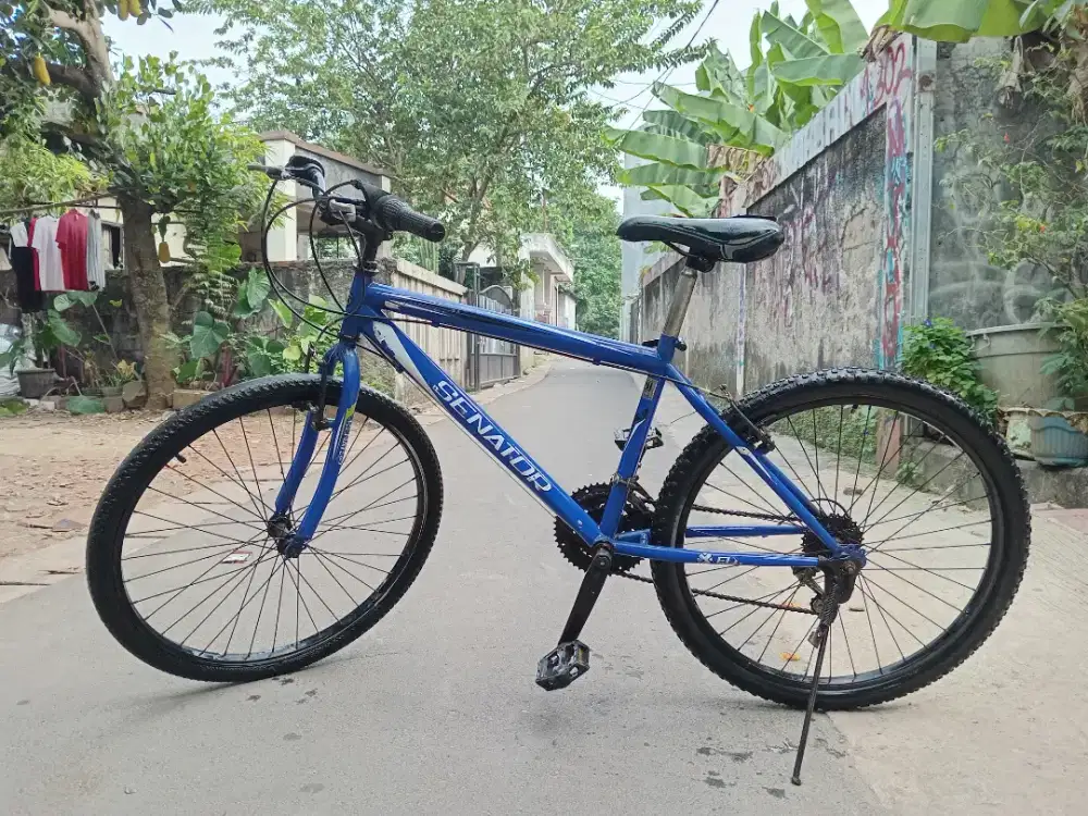 Sepeda MTB Senator Biru 26