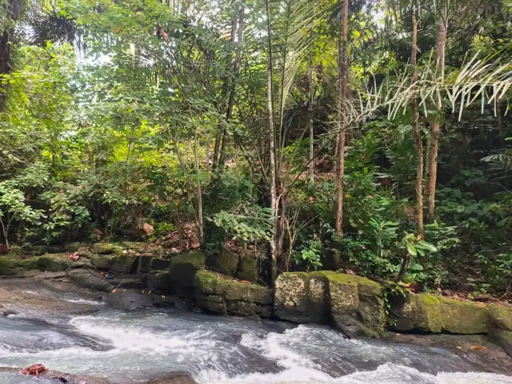 TANAH VIEW AIR TERJUN DI SELEMADEG TABANAN