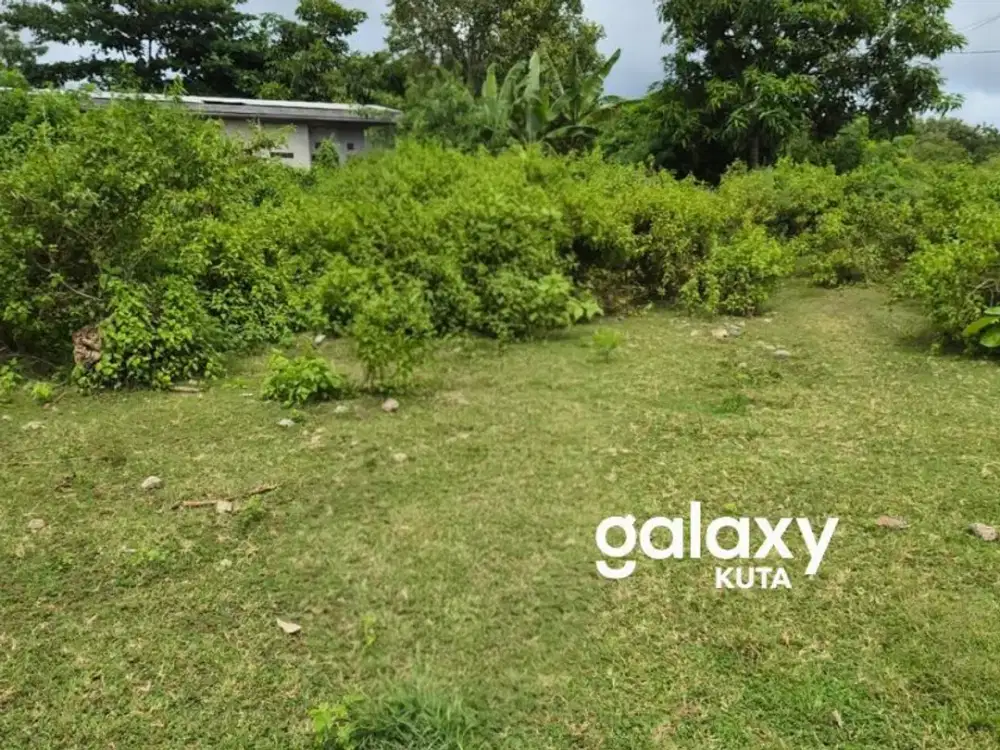 DIJUAL TANAH MURAH DI JALAN DEWI ASIH KUTUH BADUNG