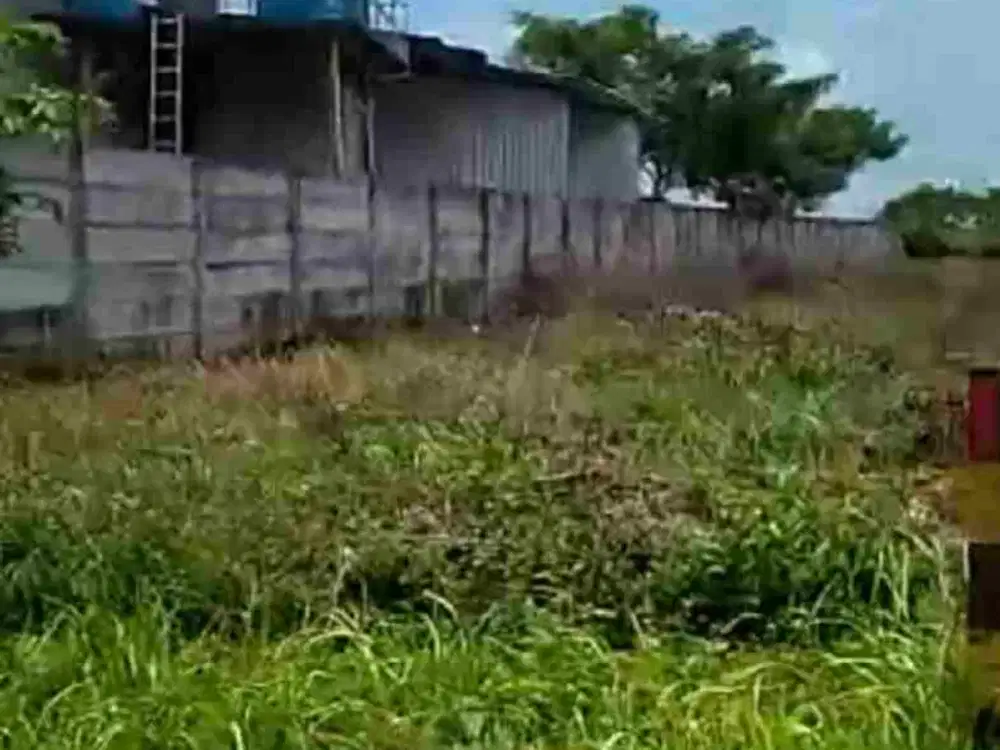Jual tanah kawasan Industri Widang Tuban