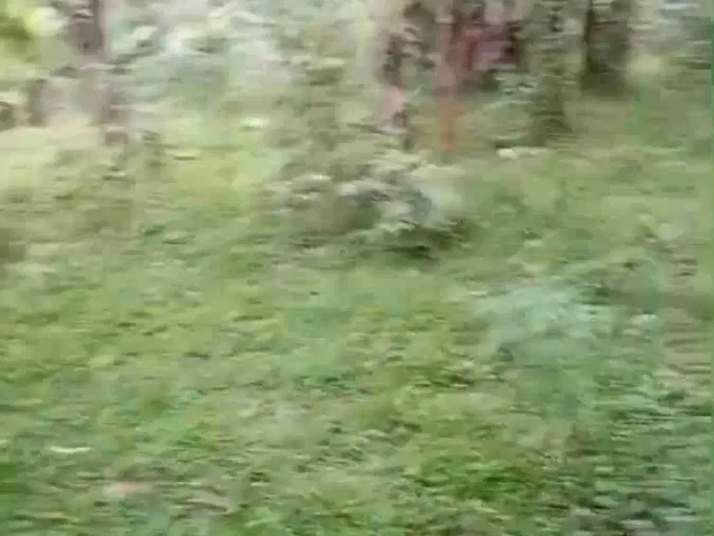 Kebun murah Bandung