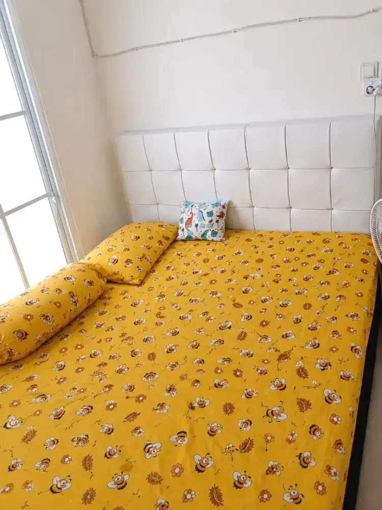 springbed plus dipan