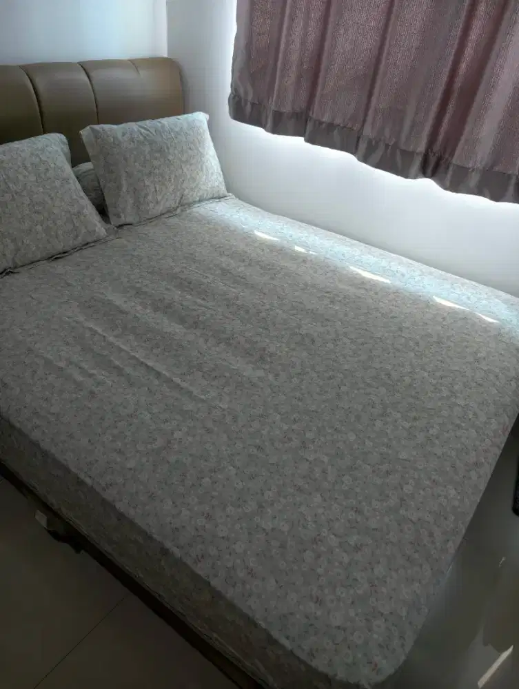 Central Springbed Gold Pocket Orthomatic