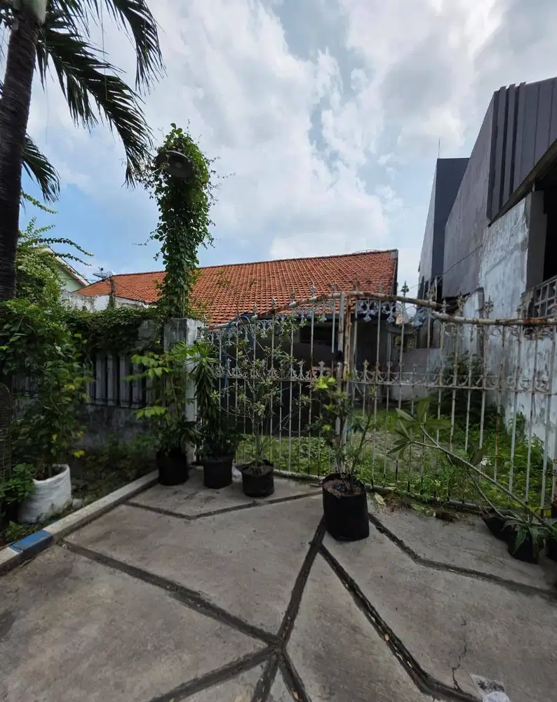 Siwalankero Petra MURAH, Langka