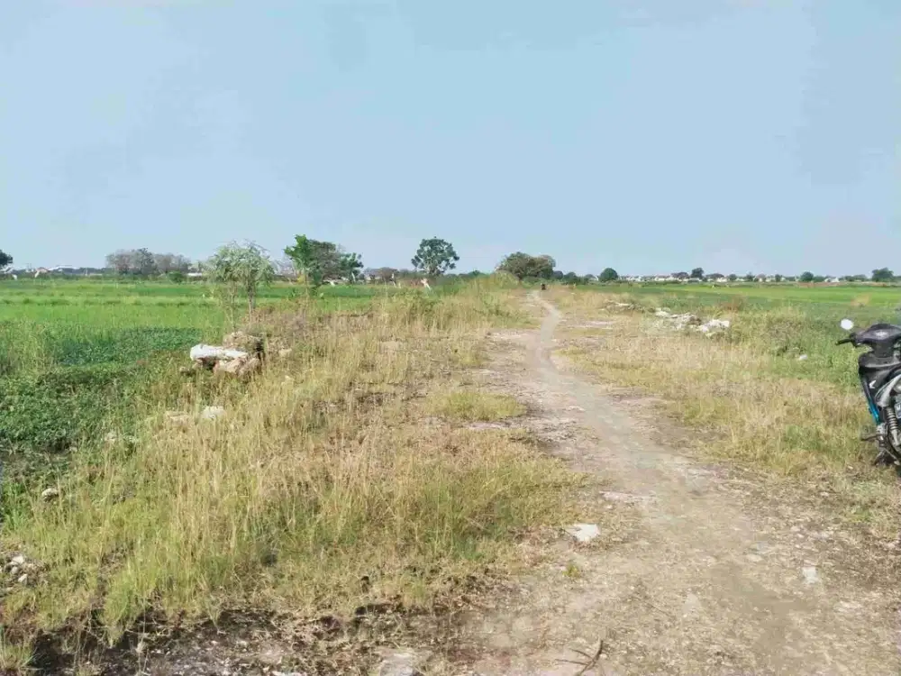 Lingkar Timur Sidoarjo Disewakan