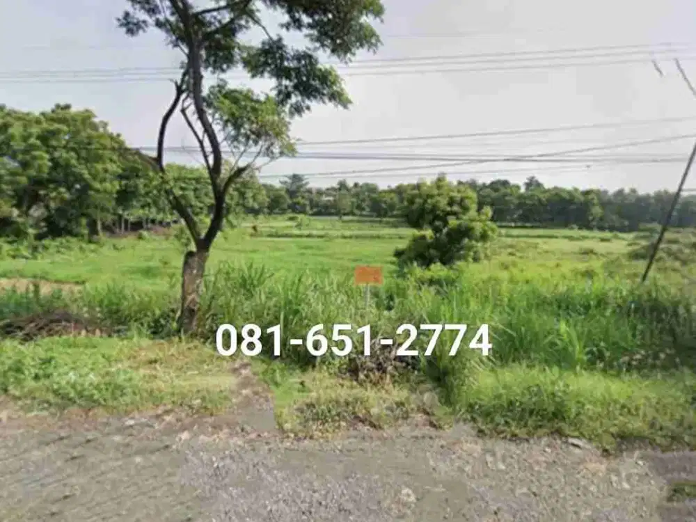 Tanah di Raya Nguling Pasuruan.