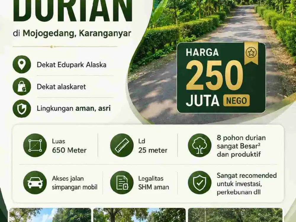 Jual kebun durian Mojogedang karanganyar