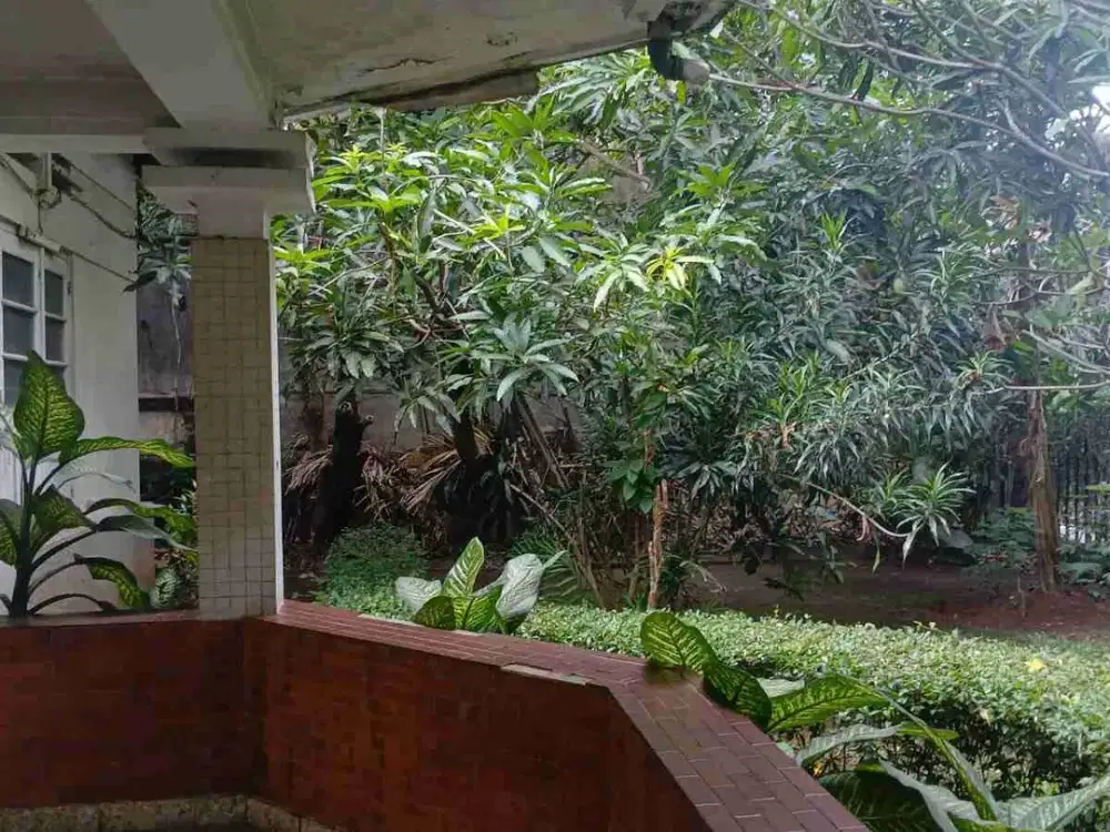 JUAL CEPAT RUMAH MENTENG JLN BANYUWANGI JAKARTA PUSAT ( NEGO)