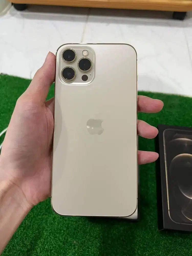 iPhone 12 Pro Max 256GB Gold Inter Permanen