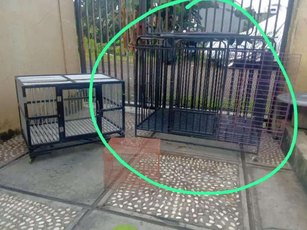 Kandang anjing bekas