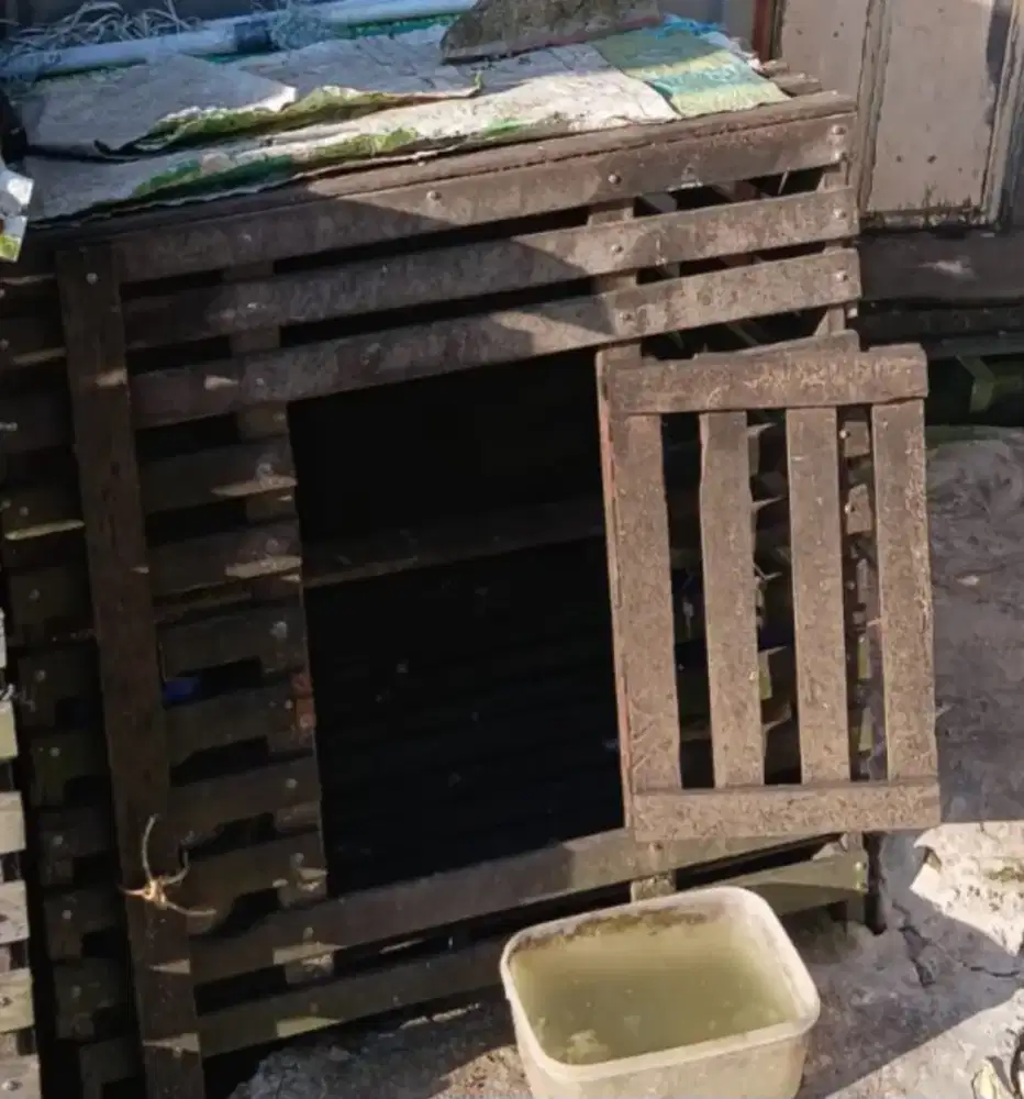 Jual kurungan ayam