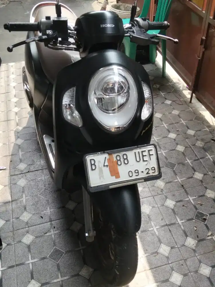 Scoopy thn 2024