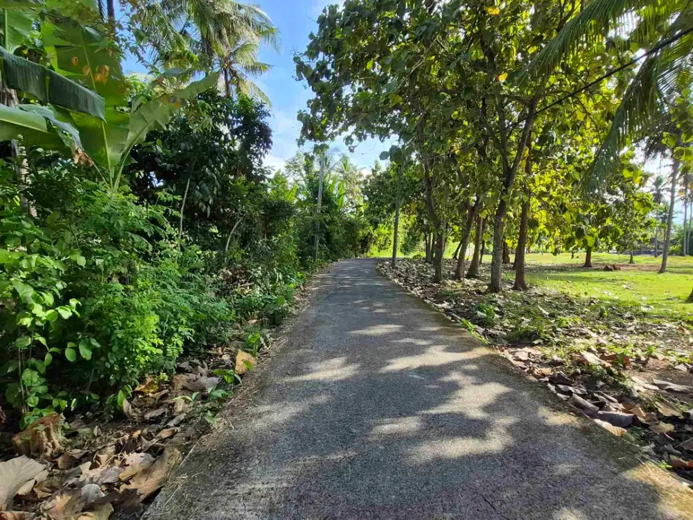 TANAH 1.1 HEKTAR / 11000m2 Di TEGAL BADENG TIMUR JEMBRANA