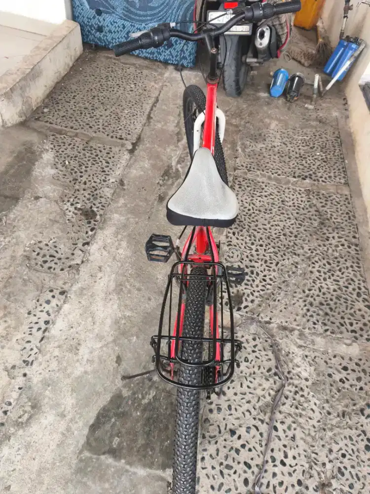 Sepeda senator 26