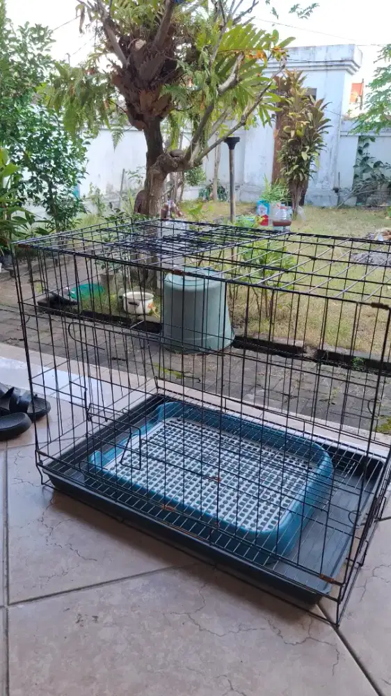 Kandang anjing bekas