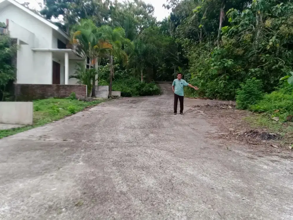 Jual tanah di Panjatan Kp