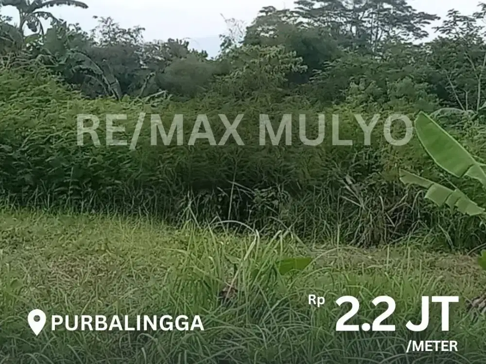 Dijual Tanah Pekarangan, Cocok untuk Industri atau Usaha Area Purbalingga