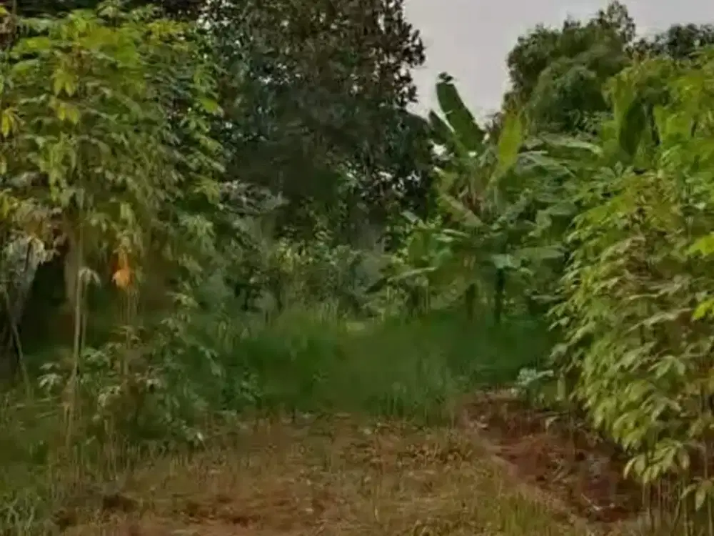 Dijual tanah nempel dengan kawasan Industri Jababeka. Cikarang