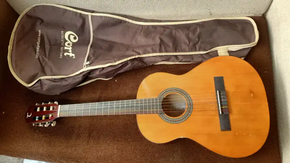Tanglewood tw34 original size 4/4