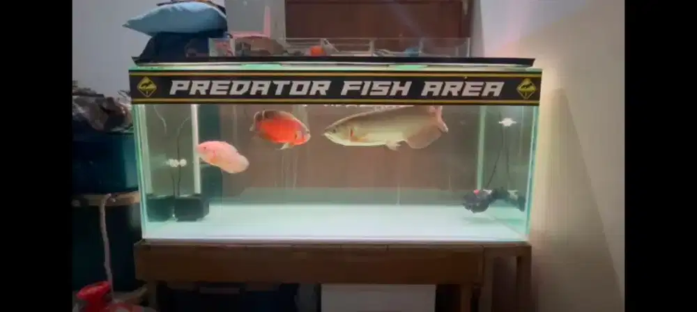 Borongan Set Aquarium Jumbo 120cm Fullset Alat + Bonus Cadangan