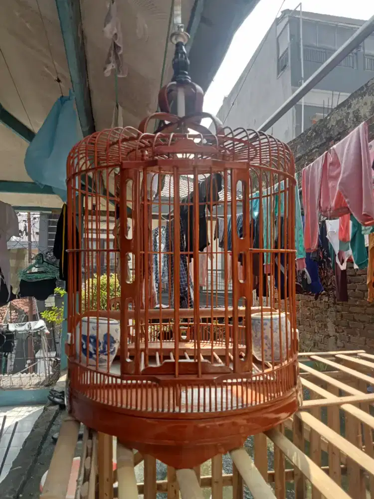 Sangkar burung cunkok