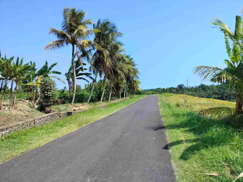 jual tanah murah ditabanan lokasi.di kelecung.lt 1 hektar hrga 85 jt/ are ngoo