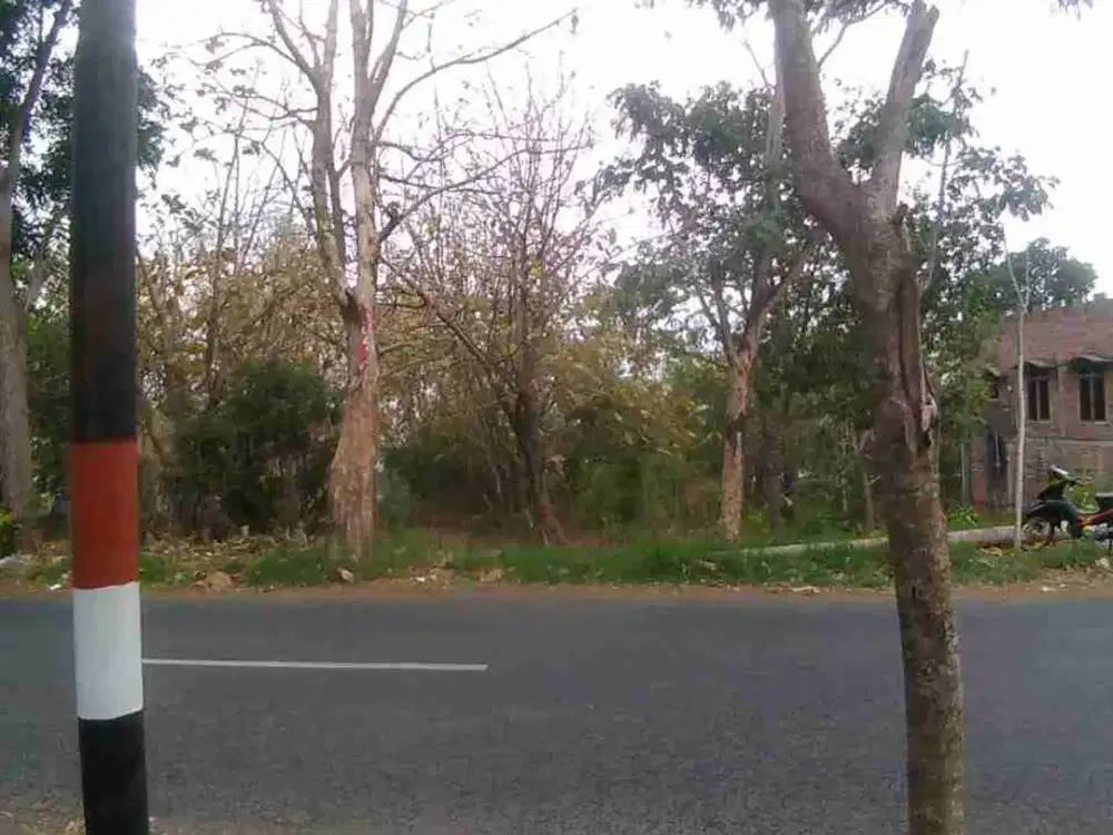 Dijual Tanah strategis Jalan Utama lokasi batu malang