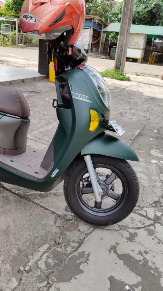 Scoopy  all new