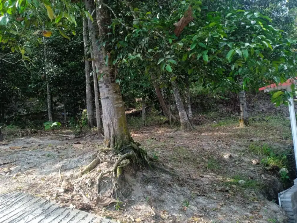 Dijual tanah pekarangan