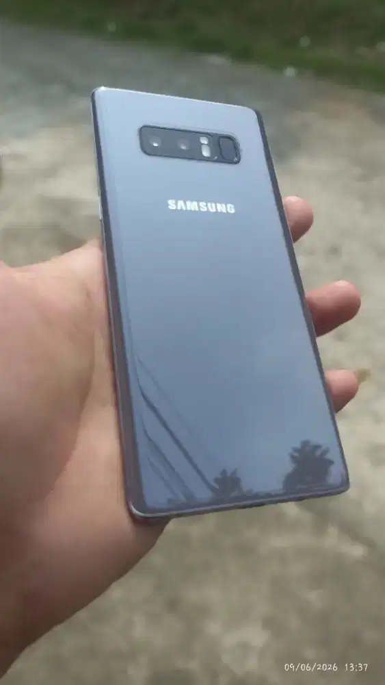 Samsung NOTE 8 6/64 SEIN Muluss Mantaab Joss