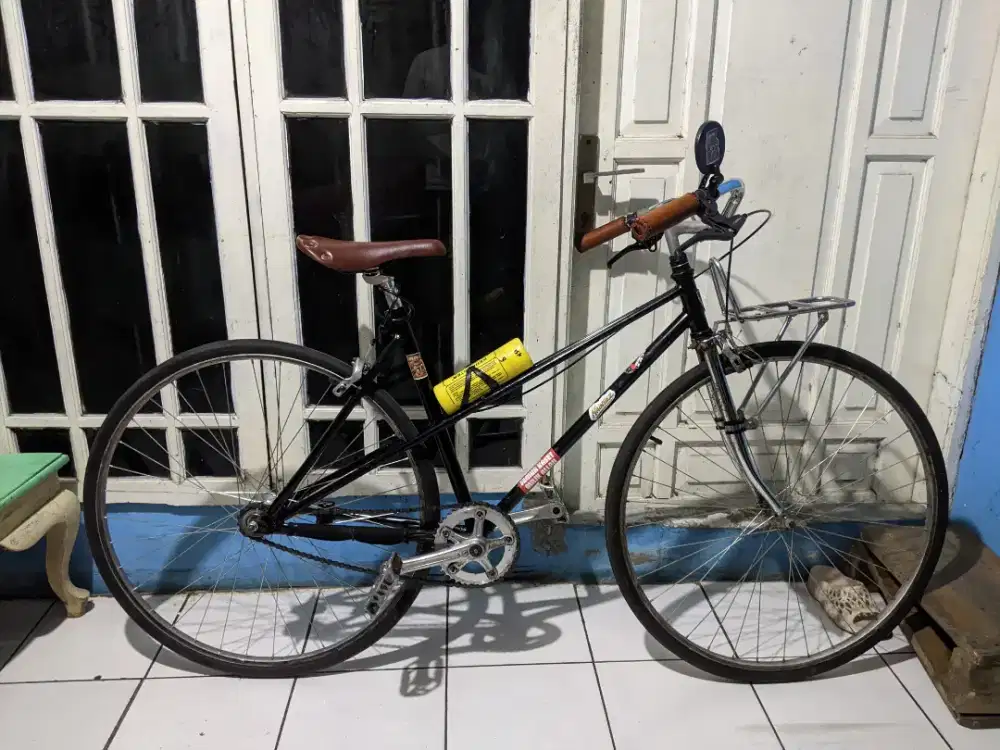 Sepeda Custom Commuter Bike
