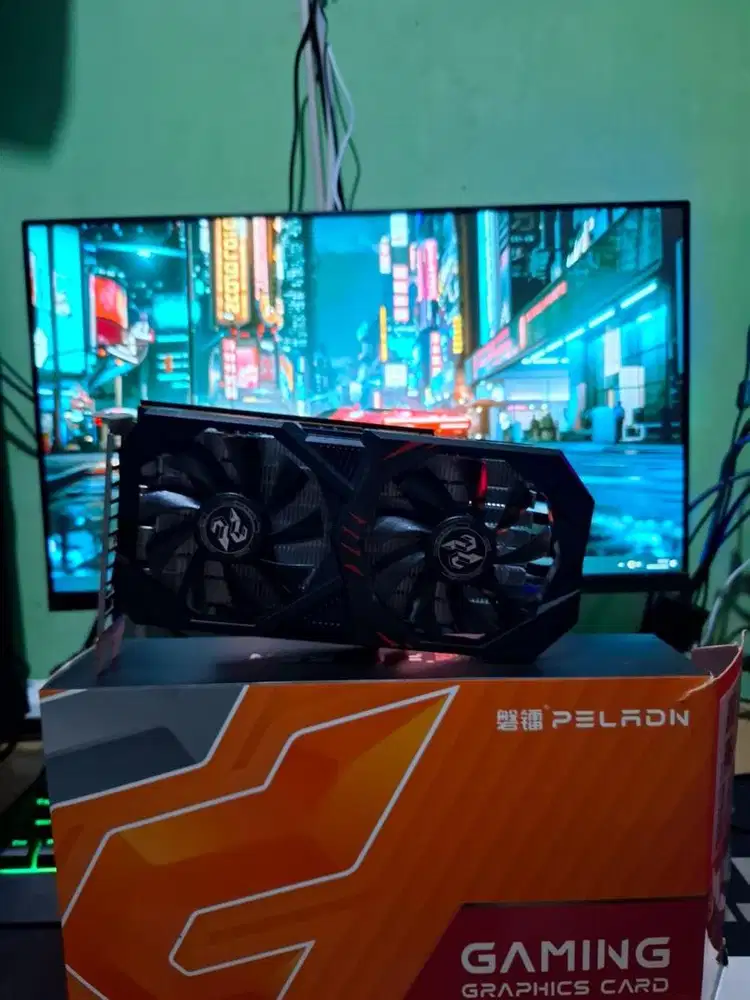 WTS Peladn RX6600