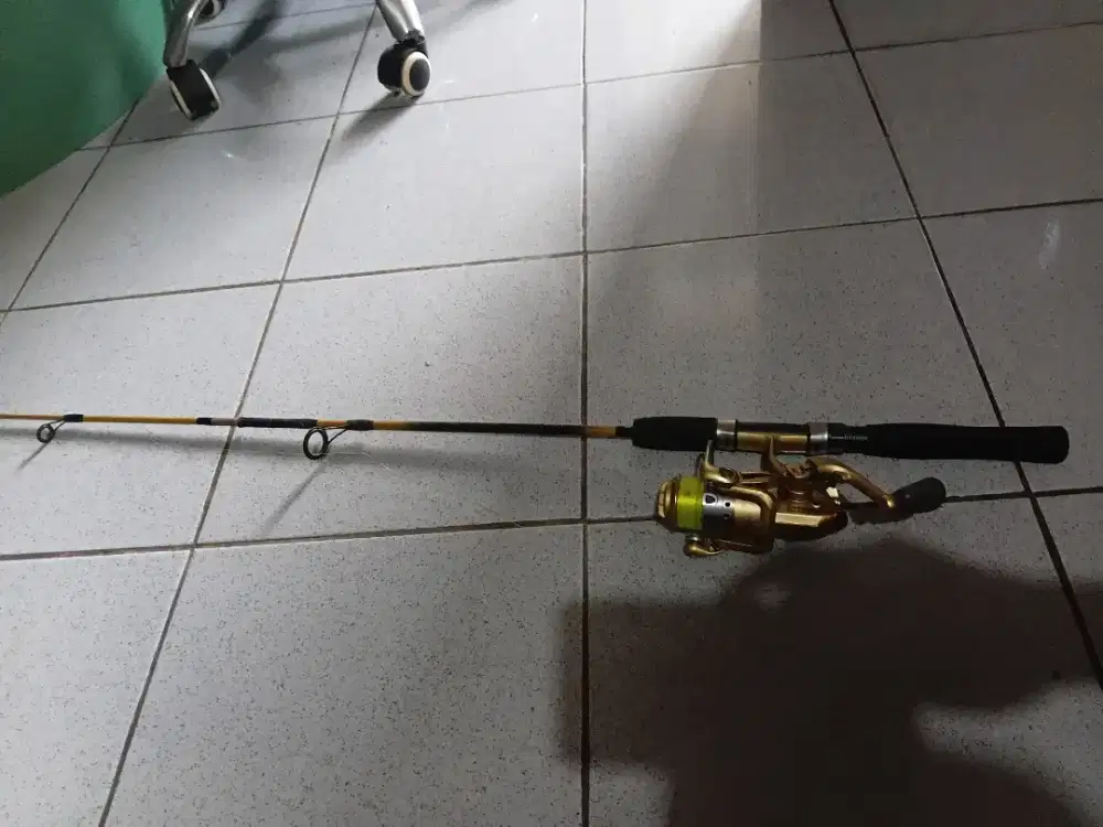 Pancingan 1 set golden fish