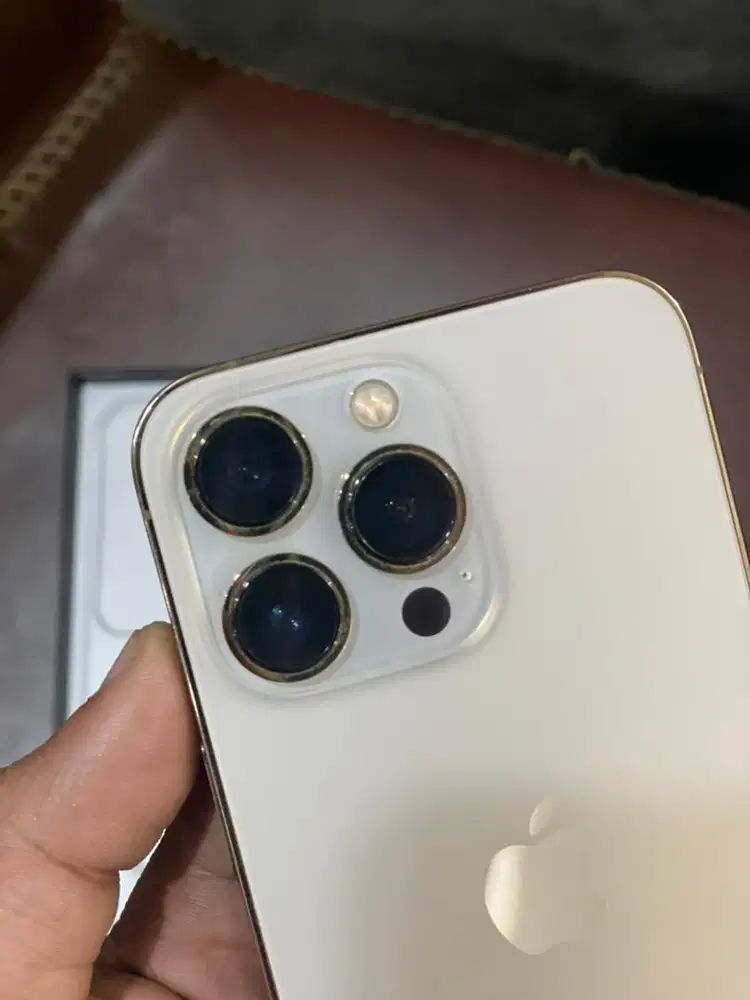 iPhone 13 Pro 256Gb BEACUKAI