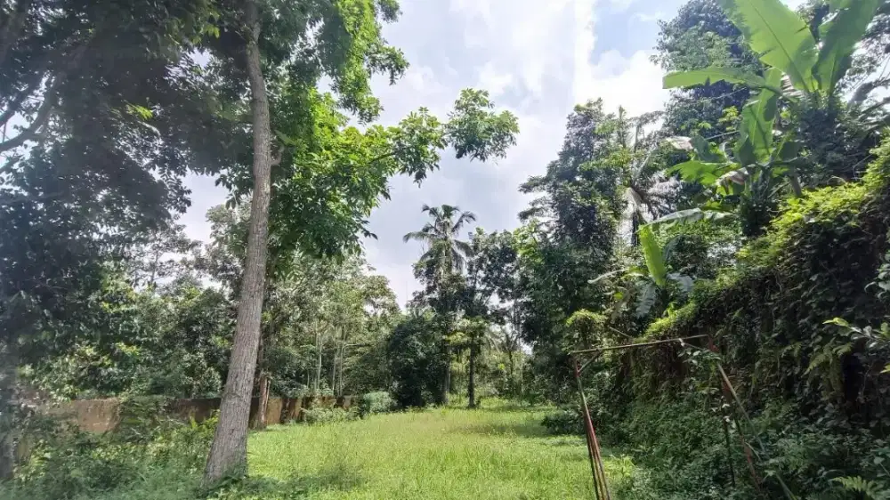 Jual Cepat Tanah Premium