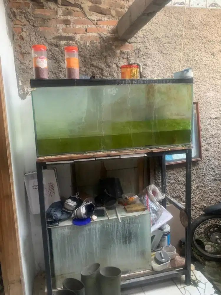 Akuarium besar 120 x 50 cm