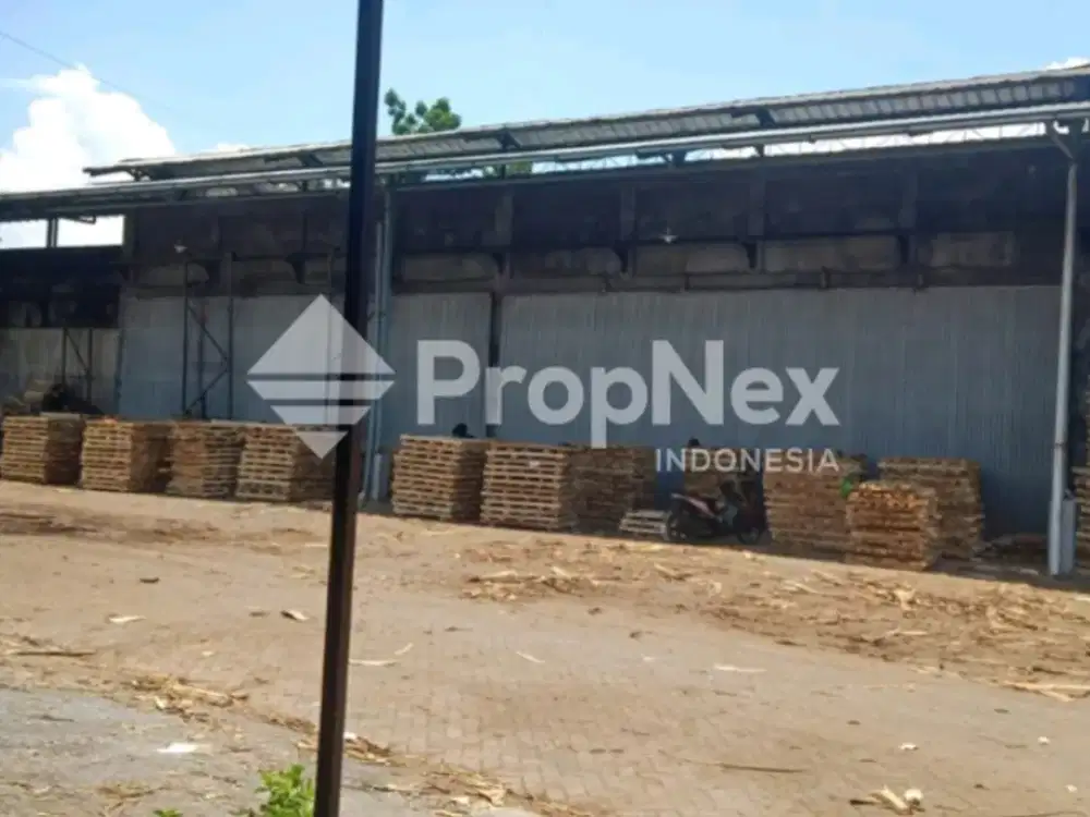 Kondisi Masih Aktif Pabrik di Selokambang Lumajang