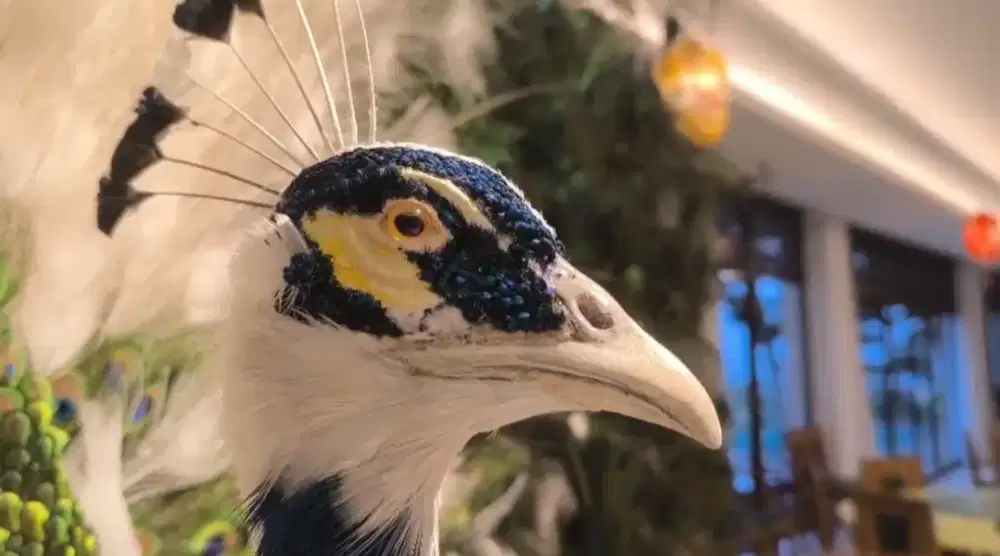 kerajinan patung burung merak india