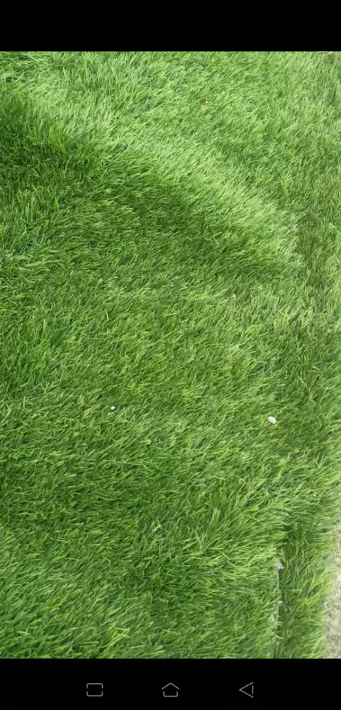 Karpet rumput sintetis 2x6 meter
