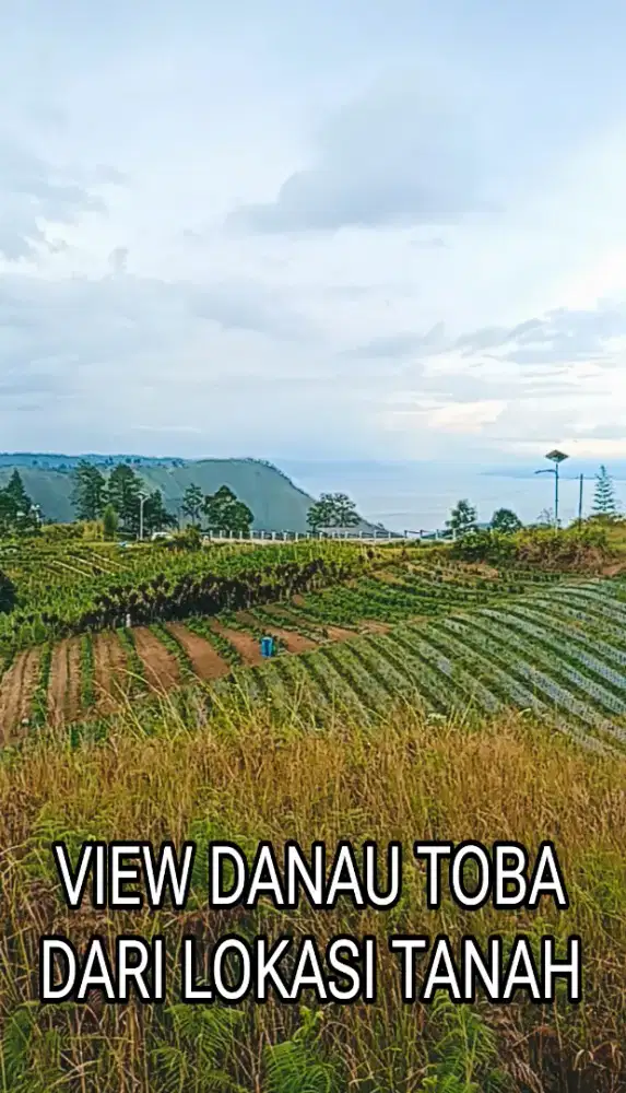 DIJUAL TANAH VIEW DANAU TOBA DEKAT SIMALEM RESORT PINGGIR JALAN ASPAL