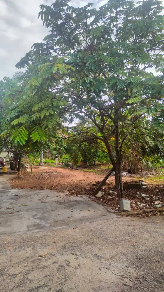 Tanah Kavling Strategis Batu Sembilan Tanjungpinang Timur