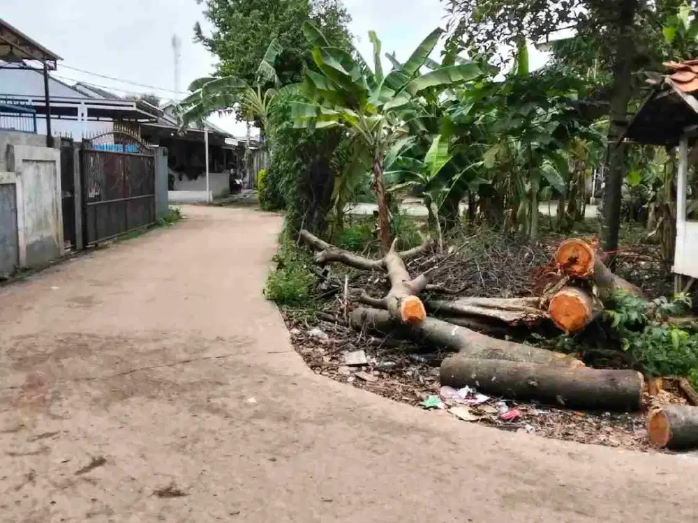 dijual Tanah digunung Sindur desa rawakalong