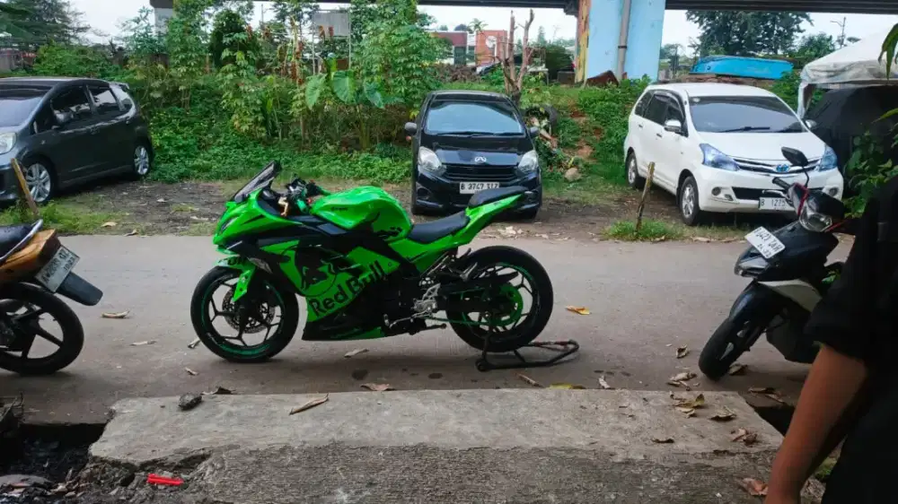 Kawasaki Ninja 250 fi