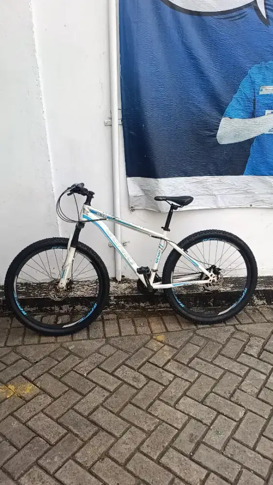 Genio MTB mulus
