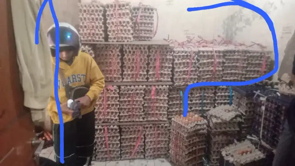 Kasir dan kurir telor
