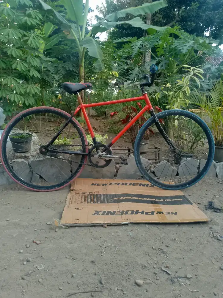 Fixie bisa dipakai normal