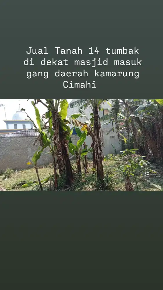 Jual Tanah 14 tumbak dekat masjid